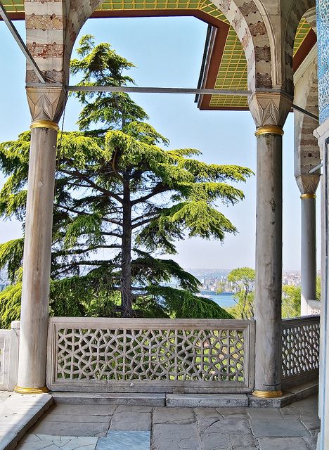 Experience Istanbul: Topkapi Palace Half-Day Guided Tour