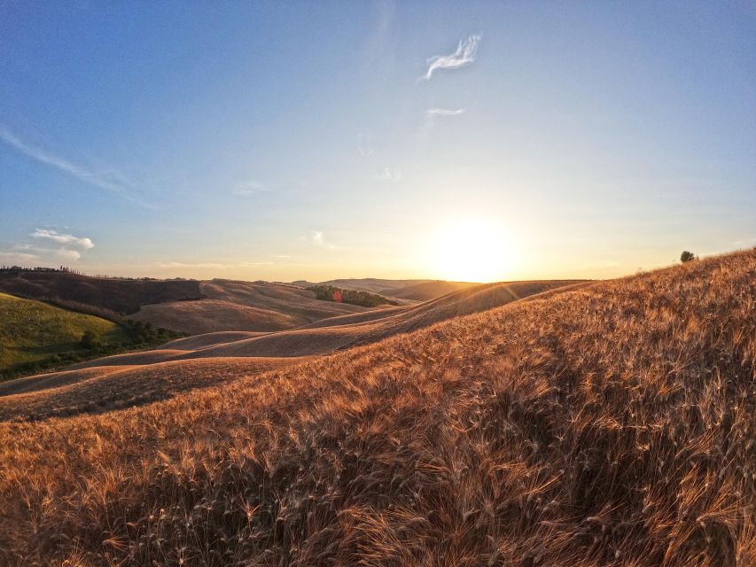 Experience With Birds of Prey in Tuscany