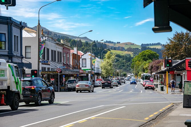 Explore Dunedin: Self-Guided Audio Tour Adventure