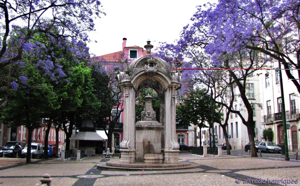 Explore Lisbon