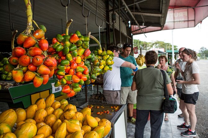 Explore San Jose on Foot: Food Delights and Sights Tour