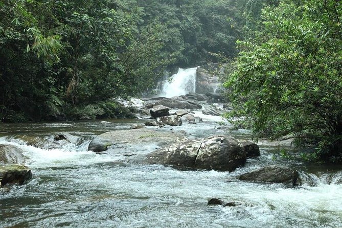 Explore Sinharaja Rainforest – Discovery Tour (Half Day)