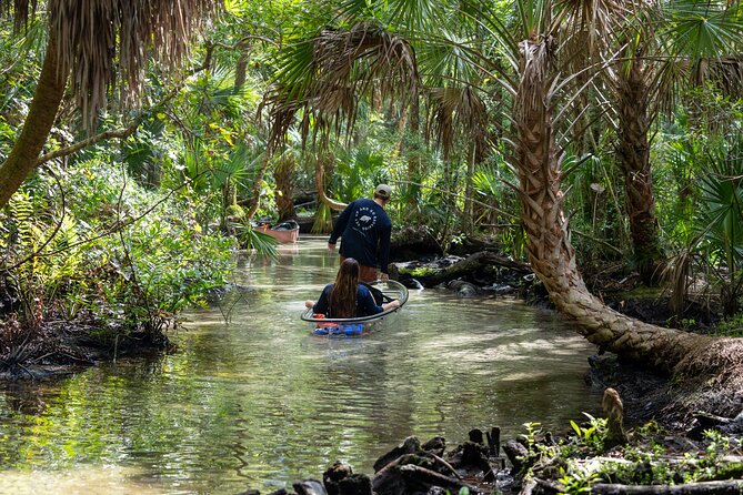 Explore The Chaz: Exclusive Clear Kayak Tours Near Crystal River