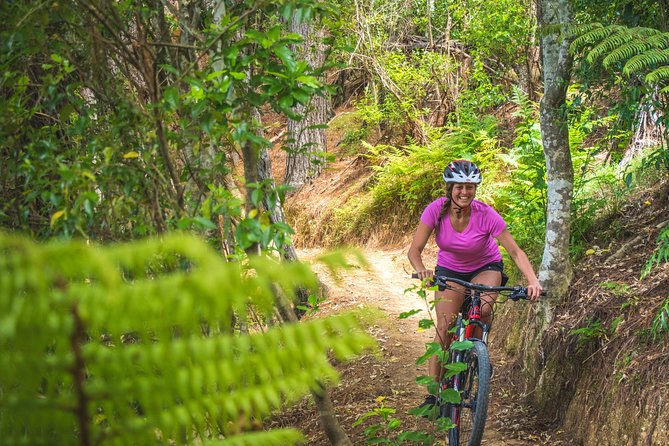 Explore the Waitangi MTB Park on Electric Bikes