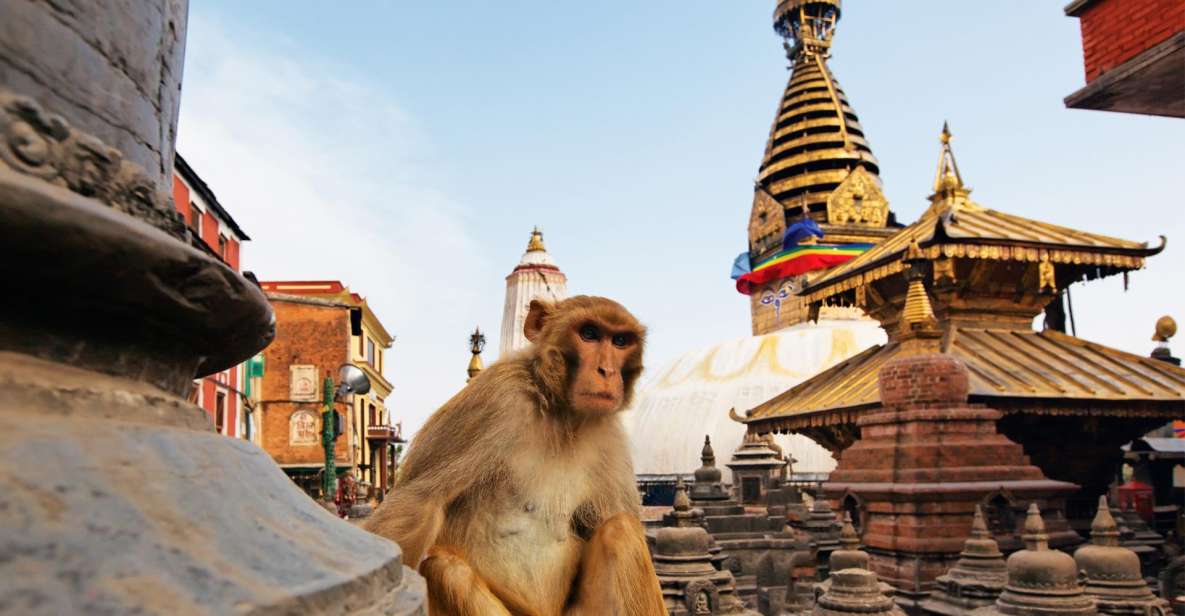 Exploring Kathmandu:Private Chandragiri & Swayambhunath Tour - Itinerary Breakdown