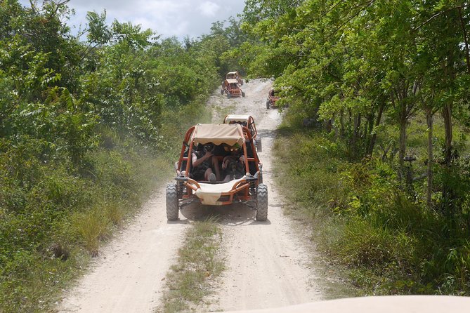 Family Buggy Adventure in Punta Cana