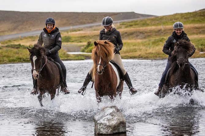 Family Friendly Horse Riding Tour in Skagafjörður