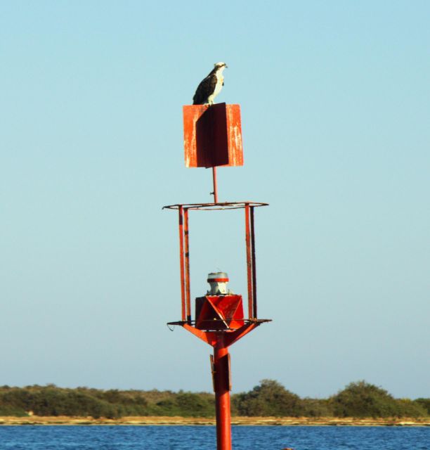 Faro: Pudim Real Boat Tours 6-Hour Boat Tour to the Ria Formosa