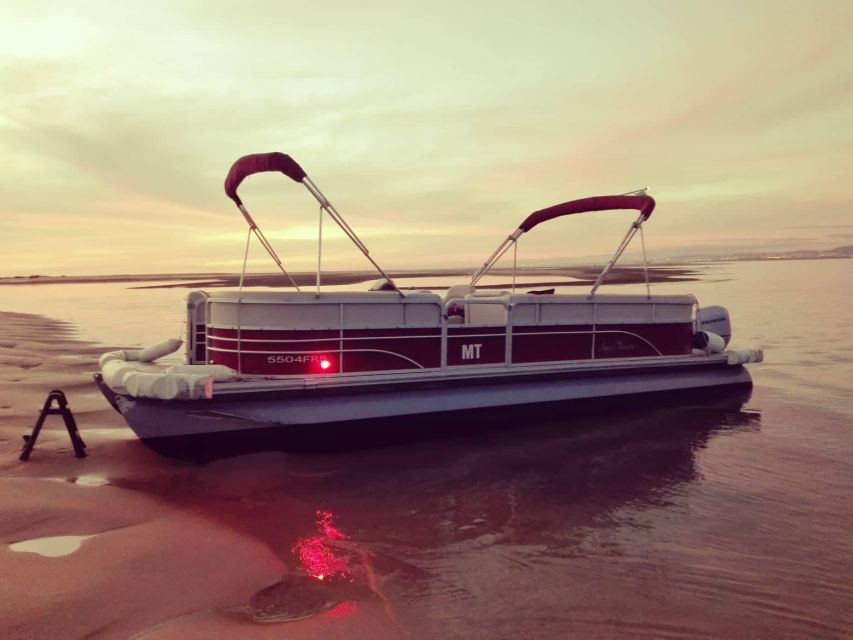 Faro: Ria Formosa Romantic Proposal Sunset Catamaran Tour