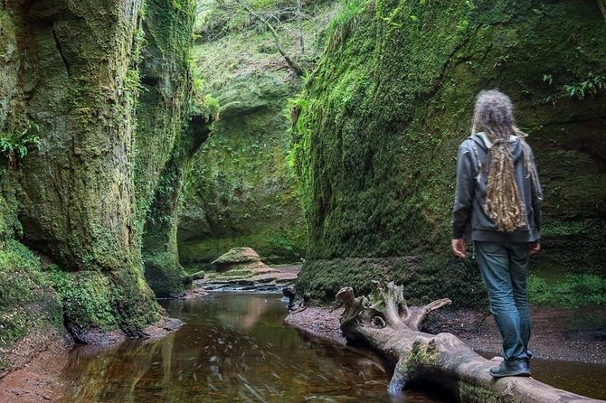 Find a Hidden Glen in Scotlands Woods