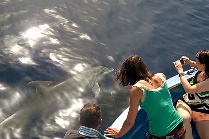 Fishing, Snorkelling & Dolphin Boat Tour