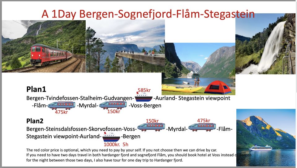 Flexible Tour to Hardangerfjord Vøringsfossen or Glacier