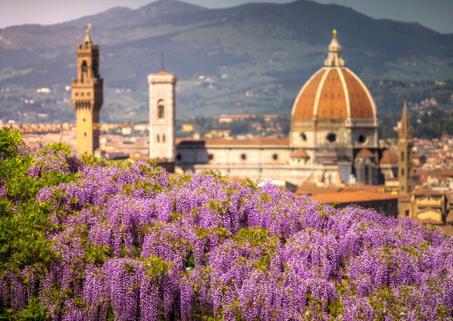 Florence E-Bike Guided Tour + Wine & Gelato Tasting