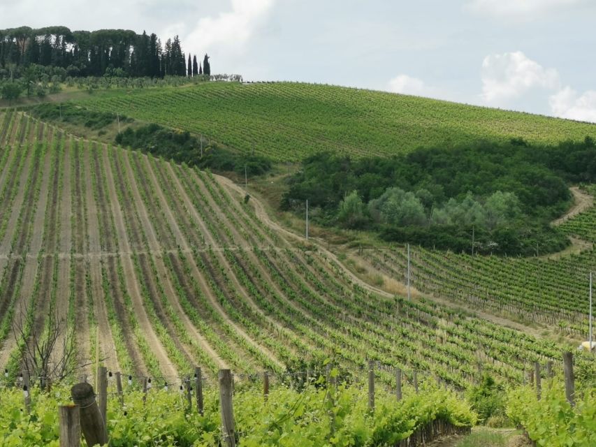 Florence: Panoramic Vip Tour With Maserati - Admiring Florences Breathtaking Vistas