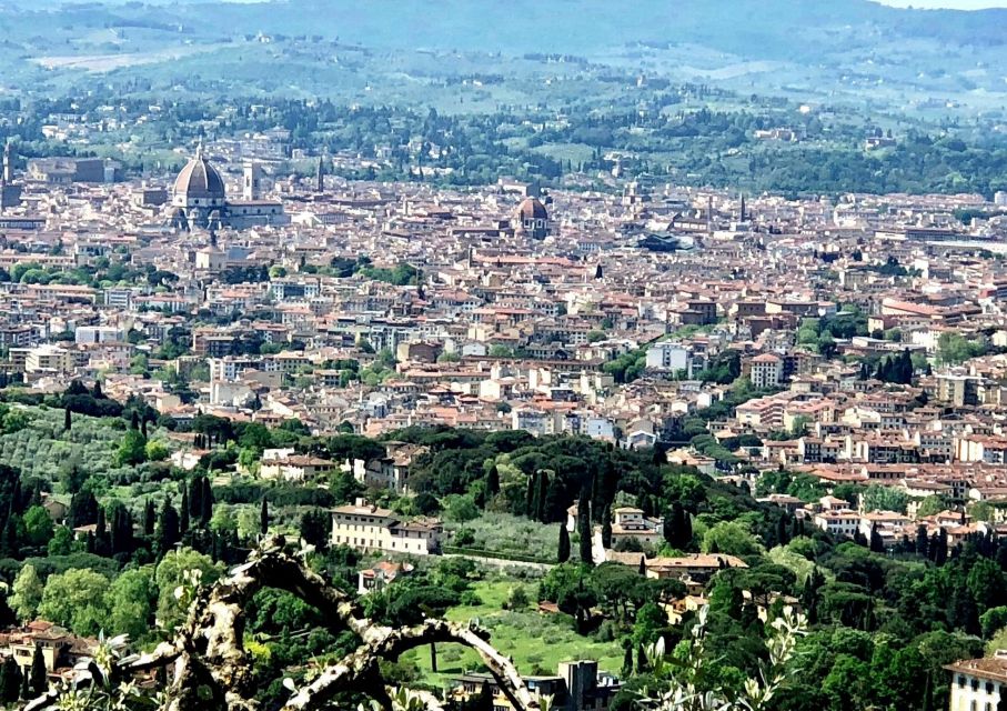 Florence: Scenic Hills Hiking Tour - Experience Highlights