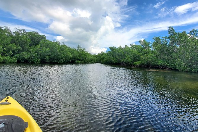 Florida Keys Mangrove Eco Tour of Manatee Bay