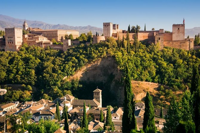 For Cruise Passengers Only: Granada and Alhambra From Malaga Port - Inclusions and Logistics