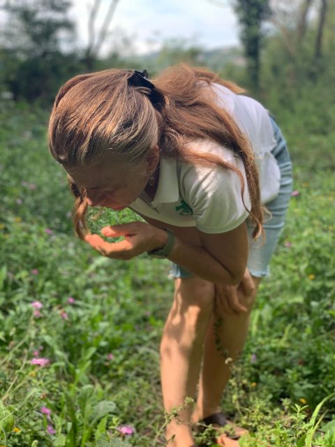 Forlì: Foraging, Looking for Wild Edible Herbs
