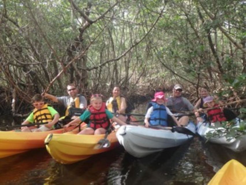 Fort Myers: Guided Kayaking Eco Tour in Pelican Bay