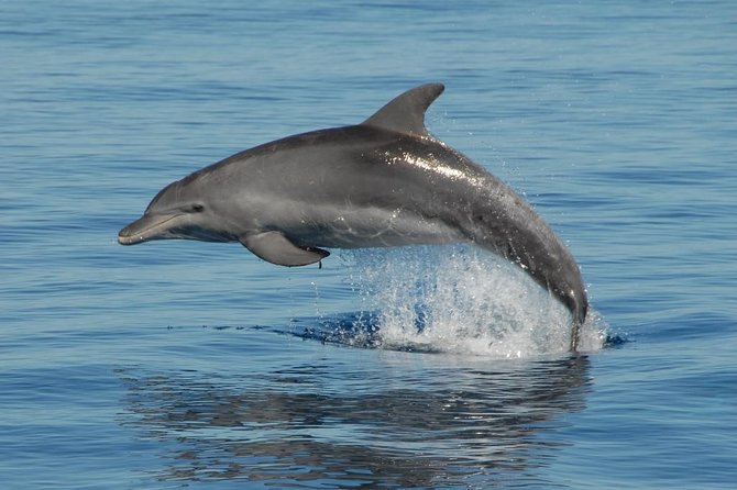 Fraser Island & Dolphin Sailing Adventure