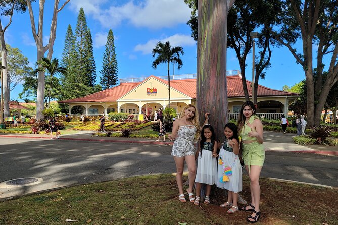 Free Byodo-In Temple and Waimea Waterfall Circle Island Day Tour