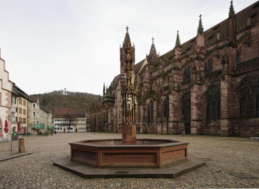 Freiburg: Guided Walking Tour