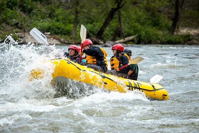 French Broad Gorge Whitewater Rafting Trip