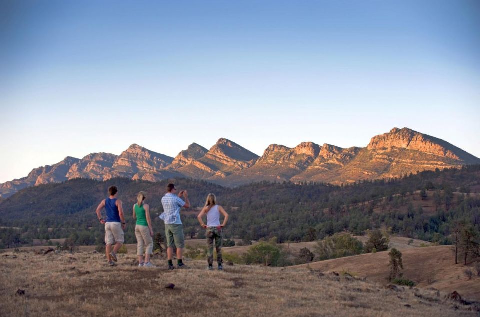 From Adelaide: 3-Day Flinders Ranges Small Group Eco Safari - Tour Highlights