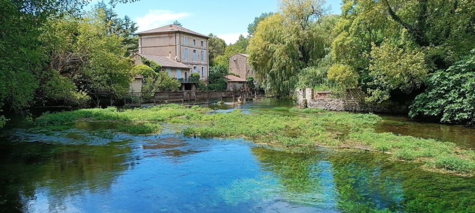 From Aix-en-Provence: Luberon Park Lavender Season Tour