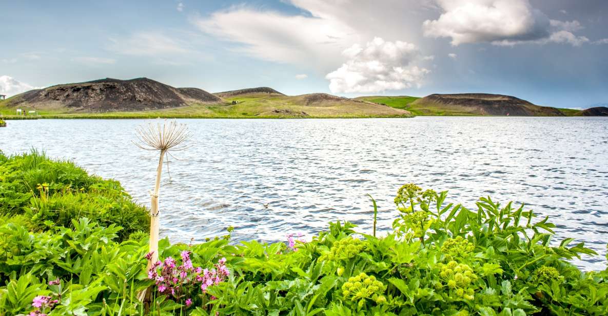 From Akureyri: Lake Mývatn Guided Tour With Lunch