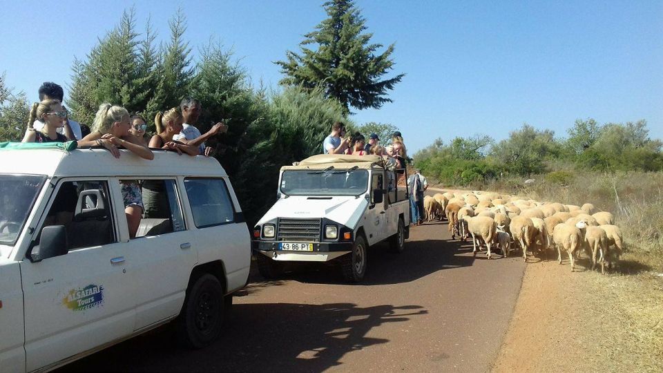 From Albufeira: 4×4 Off-Road Safari & Vineyard Wine Tasting