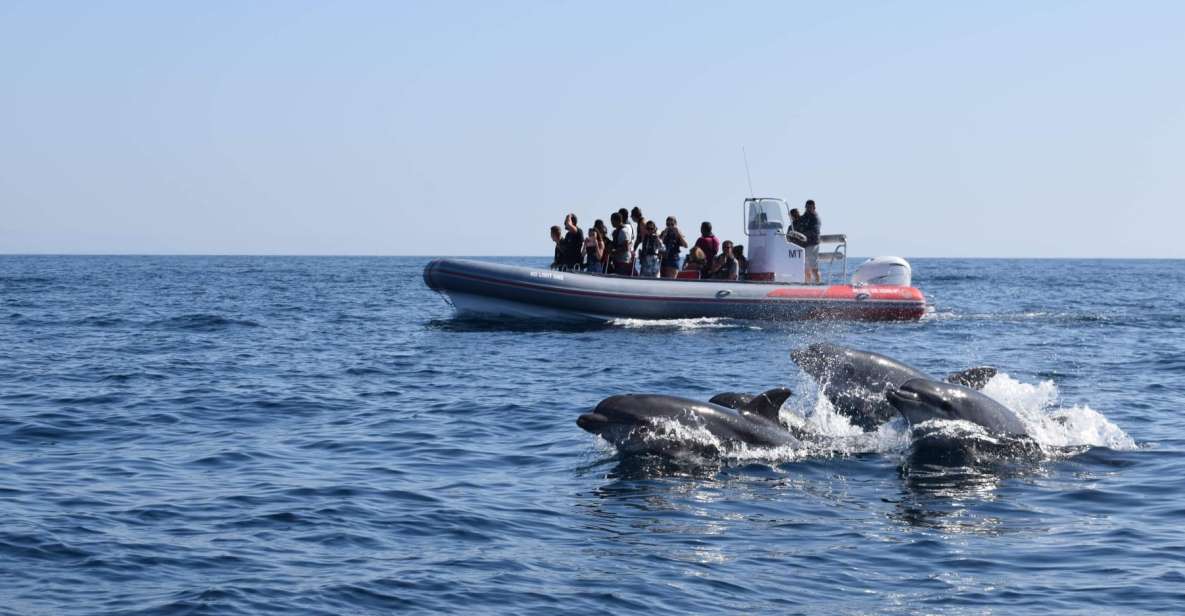 From Albufeira: Benagil Caves and Dolphins Guided Boat Tour