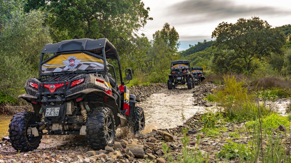 From Albufeira: Half-Day Buggy Adventure Tour
