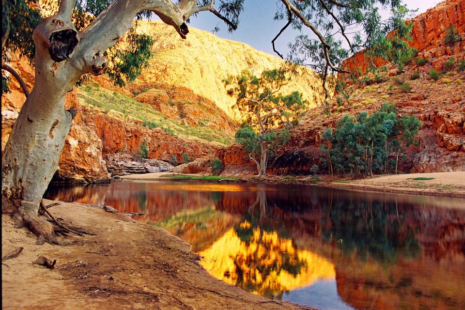 From Alice Springs: West MacDonnell Ranges Day Trip