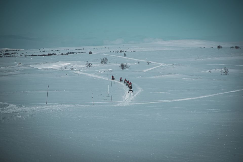 From Alta: Snowmobile Adventure - Overview of the Adventure