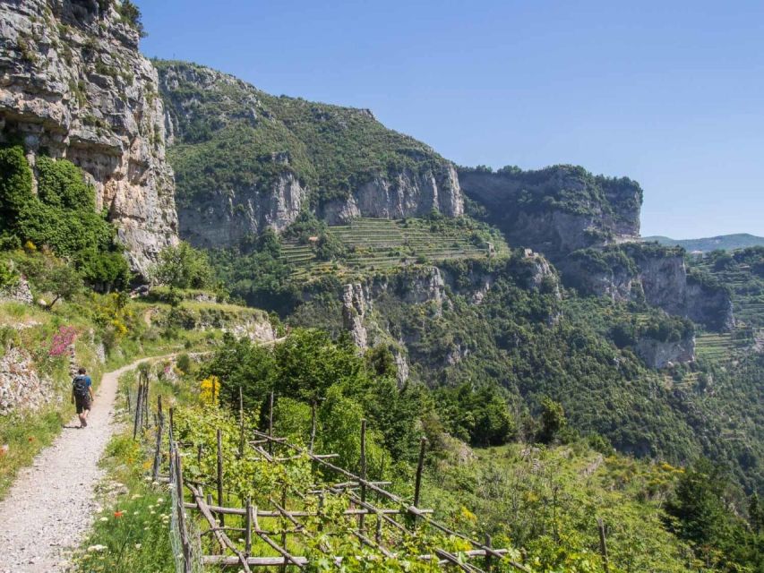 From Amalfi Coast: the Path of the Gods Hike Tour