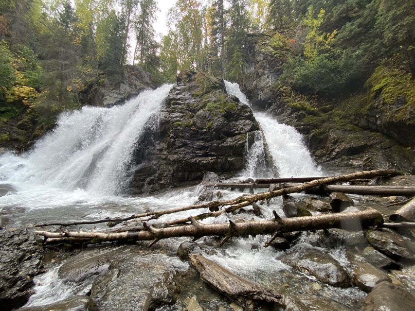 From Anchorage: Valley and Forest Hike With Naturalist Guide - Activity Overview