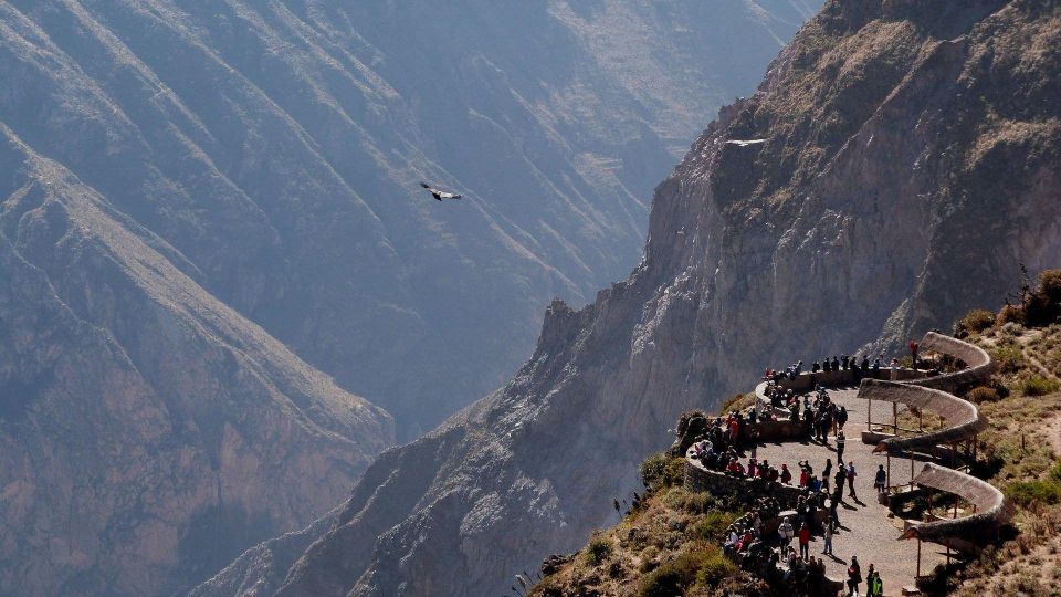 From Arequipa: Day Trip to the Colca Canyon