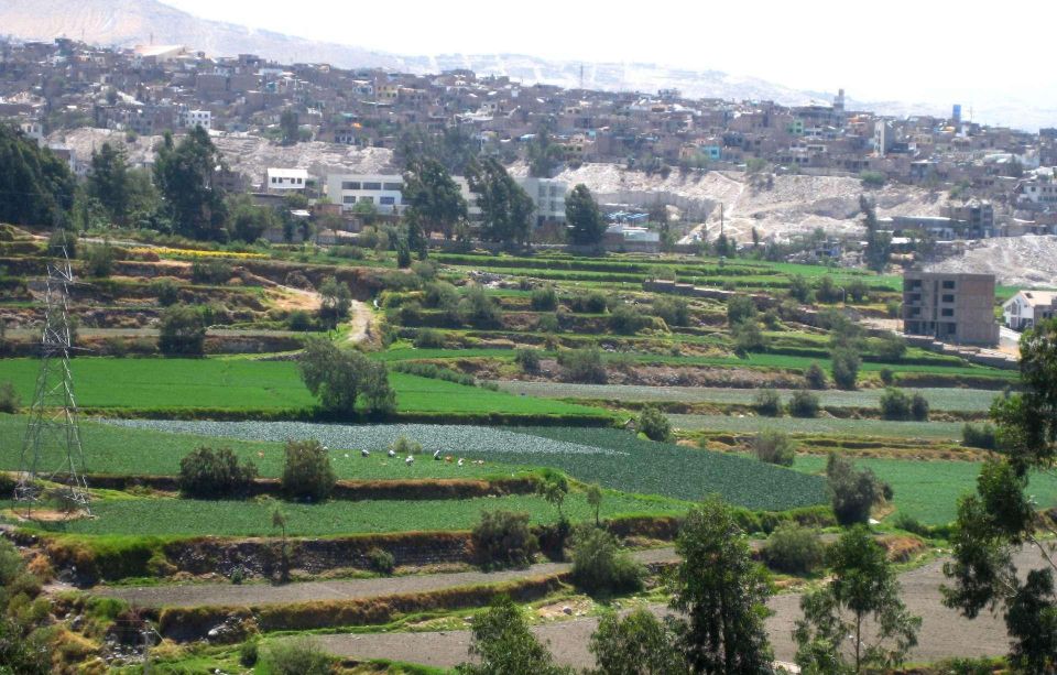 From Arequipa: Loncco Route Tour || Full Day ||