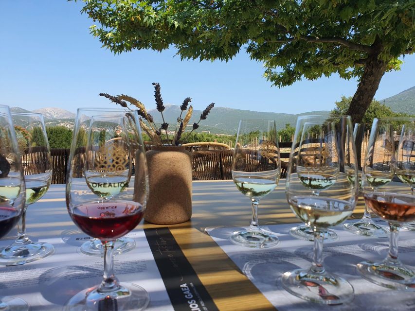 From Argostoli: Private Wine Tasting & Vineyard Tour