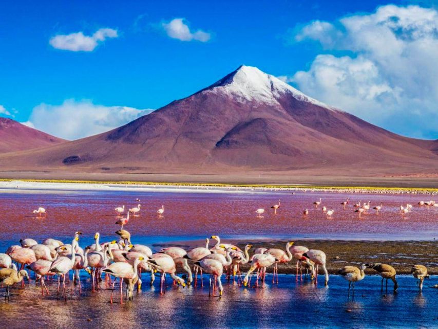 From Atacama | Uyuni Salt Flat 4 Days the Largest Salt Flat