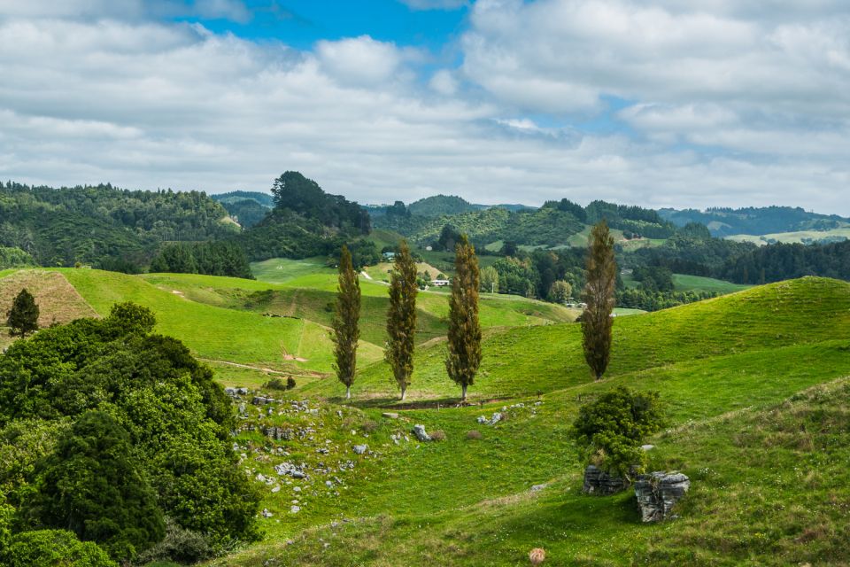 From Auckland: Hobbiton and Waitomo Day Tour With Lunch