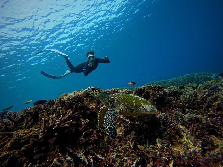 From Bali: 3 Snorkeling Spots Tour to Lembongan and Penida