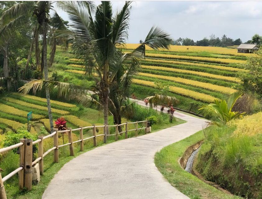 From Bali : Spectacular Waterfall of North Bali