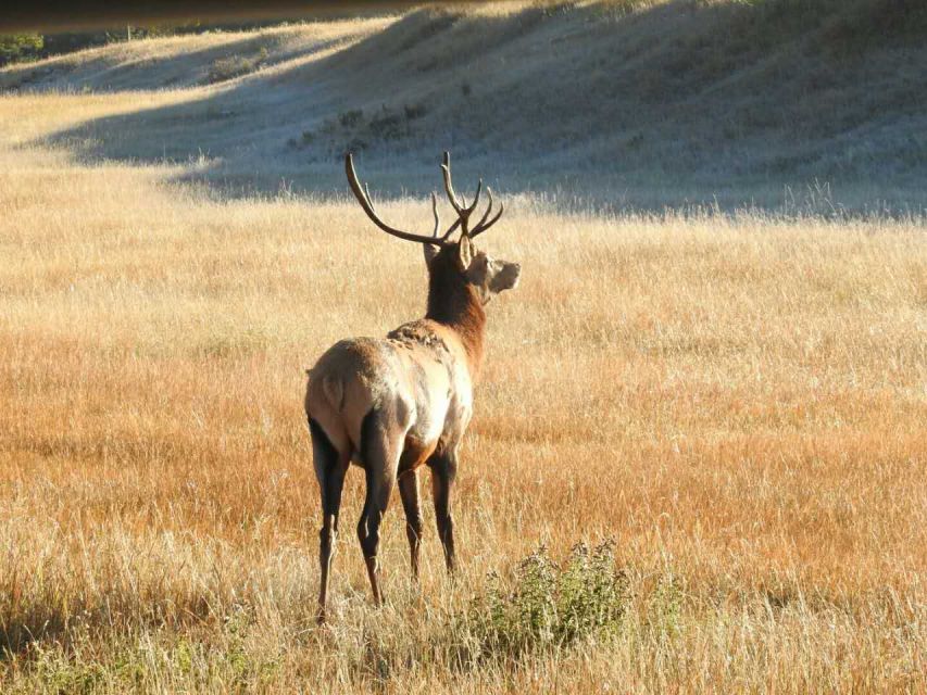 From Banff/Canmore: Guided Day Tour in Banff National Park