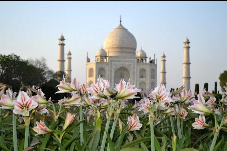 From Banglore: Private Guided Tajmahal Day Trip With Lunch