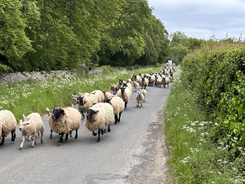 From Bath: Cotswolds Private Day Tour With Pickup