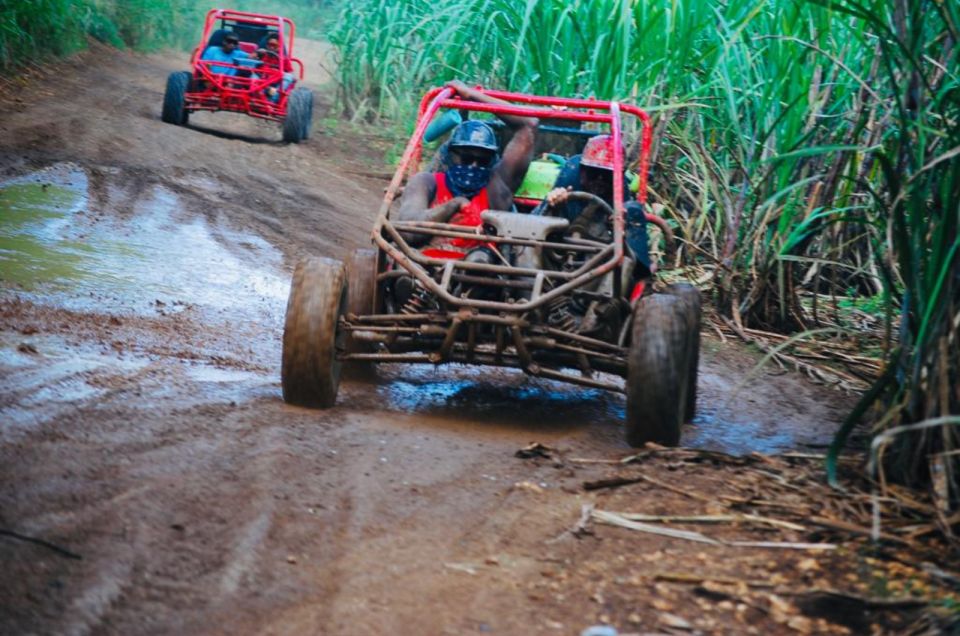 From Bayahibe: Half-day La Romana ATV or 4X4 Buggy Tour