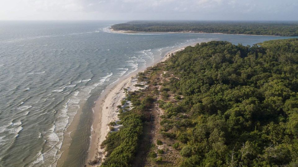 From Belem: Guided Day Trip to Marajo Island and Soure - Overview of the Trip