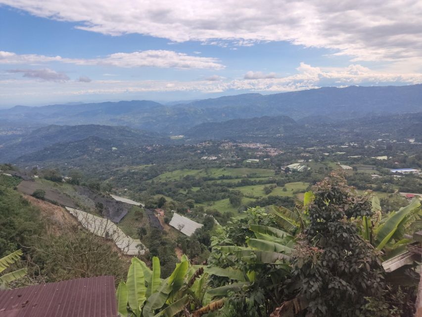 From Bogota: Andes Countryside Day! Cannabis Coffee Farm